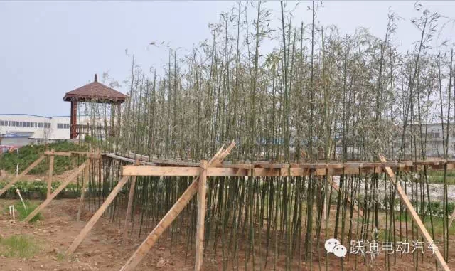 春暖花開、綠色躍迪---躍迪集團綠化工作進行中！